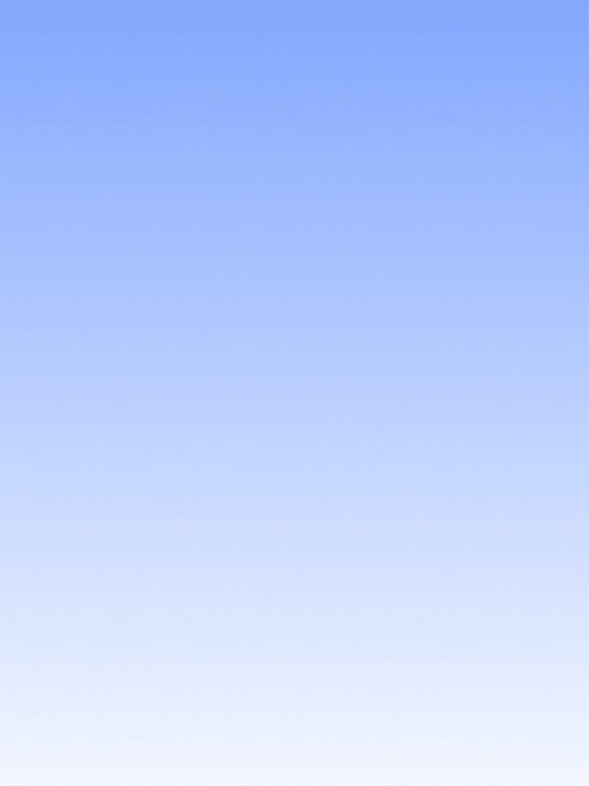 Debt Snowball Avalanche Tracker